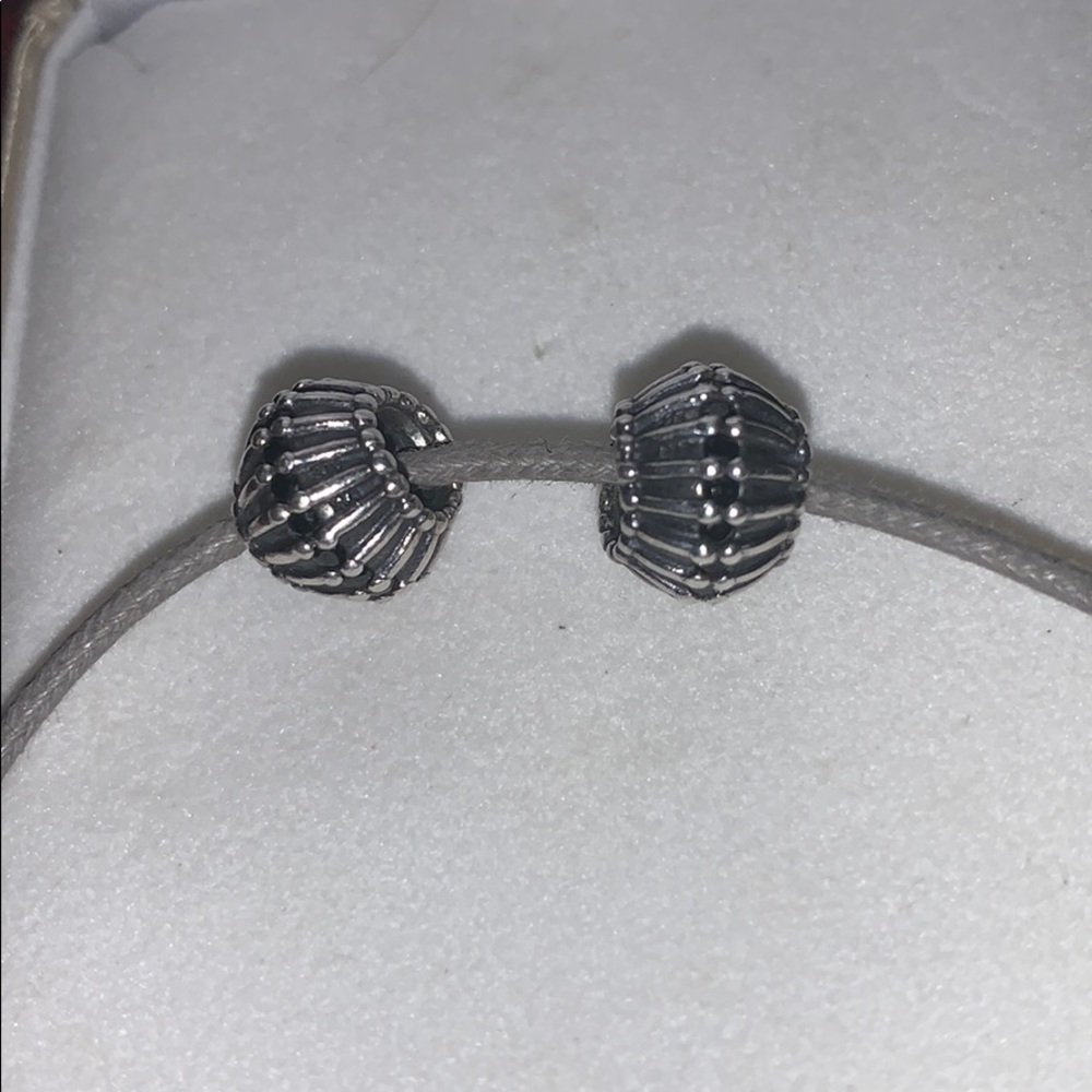 🔥retired pandora charm set🔥
